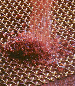 دانه بندی گارنت1